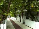 A photo of another lane within Presidents Walk  Truman Annex. Key West, FL